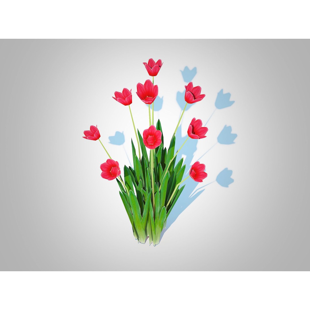 Tulipa 3D Model – Low Poly Red Tulip Plant for VR/AR - View 5