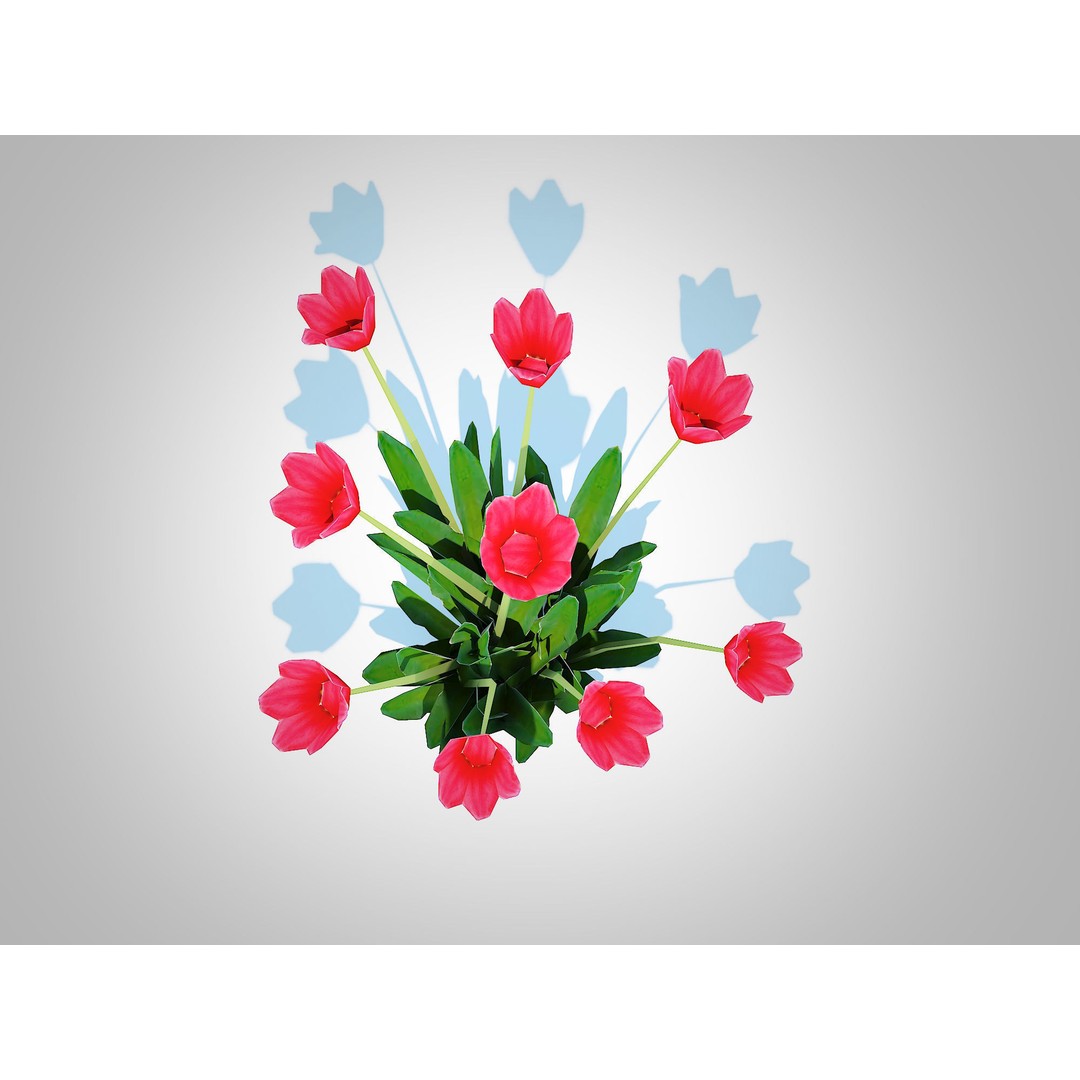 Tulipa 3D Model – Low Poly Red Tulip Plant for VR/AR - View 6