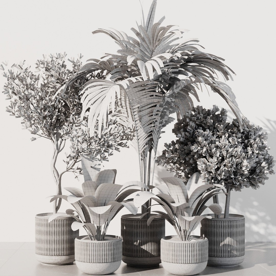 Indoor Plant Set 3D Model – High Poly PBR Flora, FBX, OBJ, STL