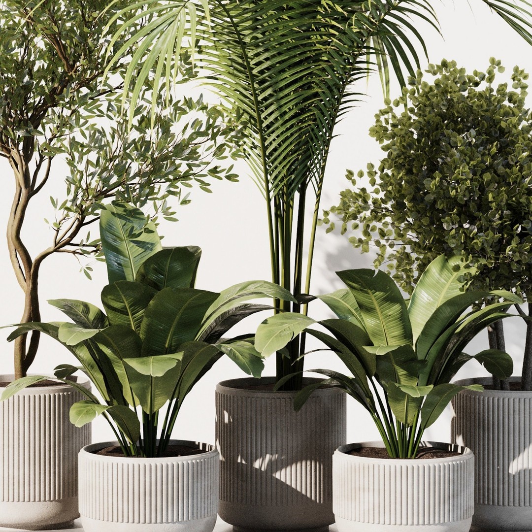 Indoor Plant Set 3D Model – High Poly PBR Flora, FBX, OBJ, STL - View 3