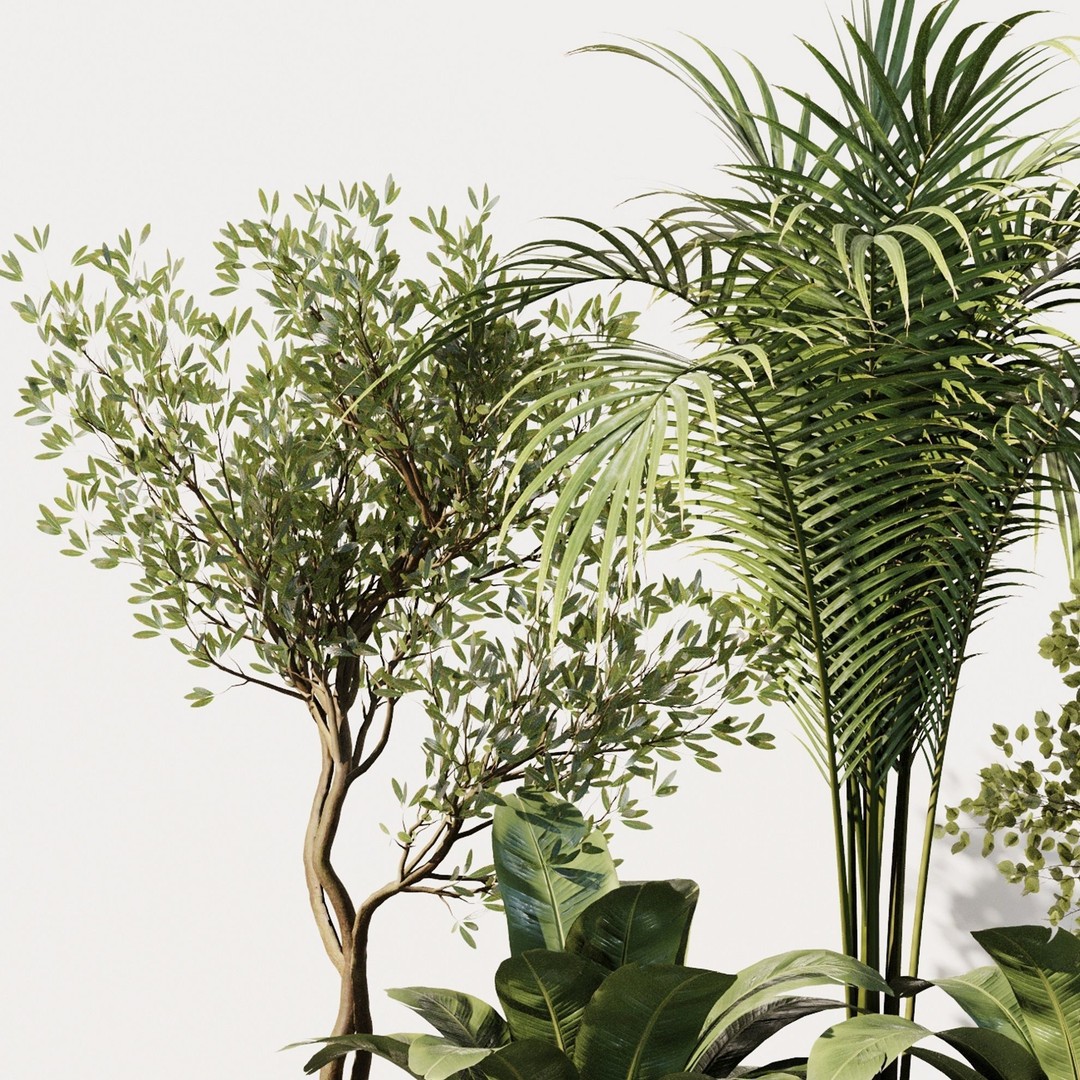 Indoor Plant Set 3D Model – High Poly PBR Flora, FBX, OBJ, STL - View 4