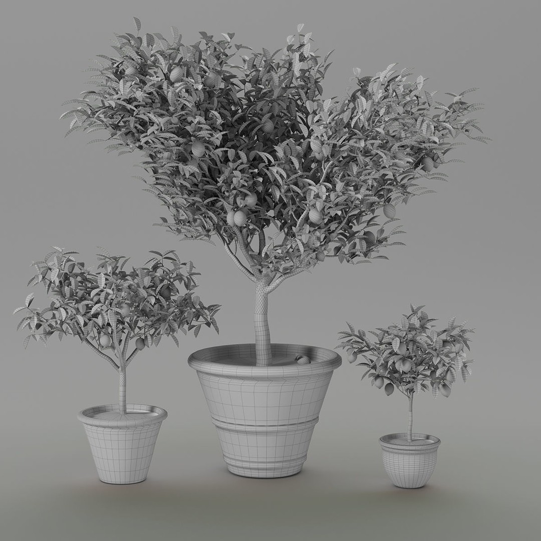 Lemon Tree 3D Model – PBR Pot Plant for Interior Visualization, FBX, OBJ