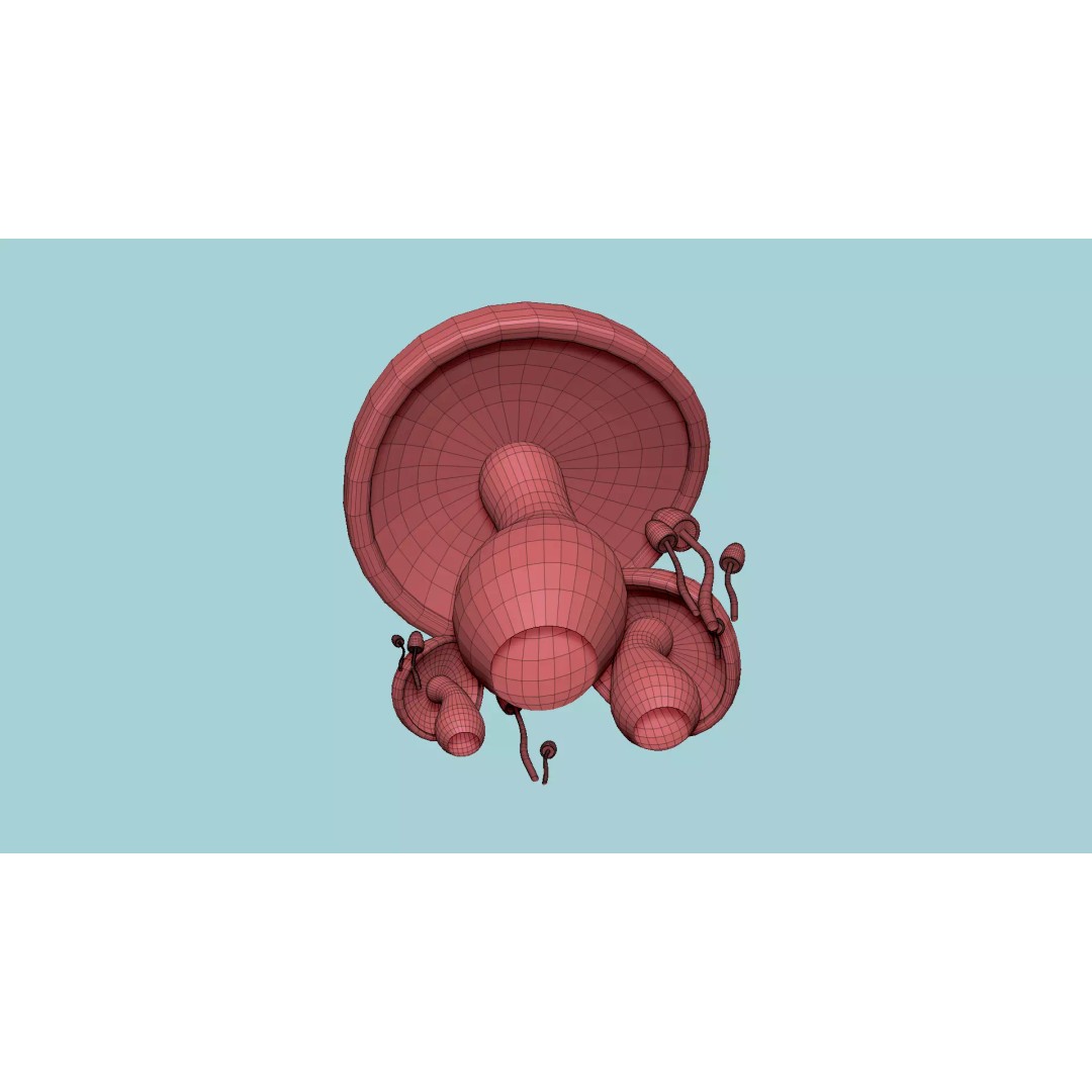 Fantasy Mushroom 3D Model – Low Poly Scene Backdrop, FBX - View 17