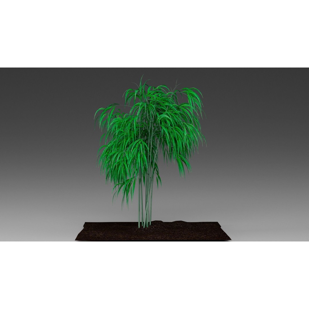 Bamboo 3D Model – Realistic Plant for Archviz and Games, FBX - View 10