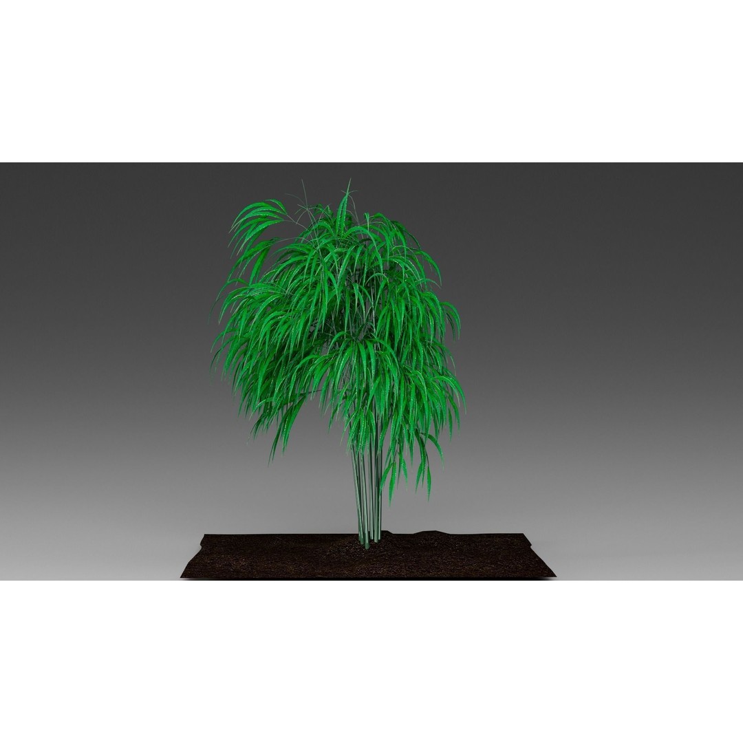 Bamboo 3D Model – Realistic Plant for Archviz and Games, FBX - View 13