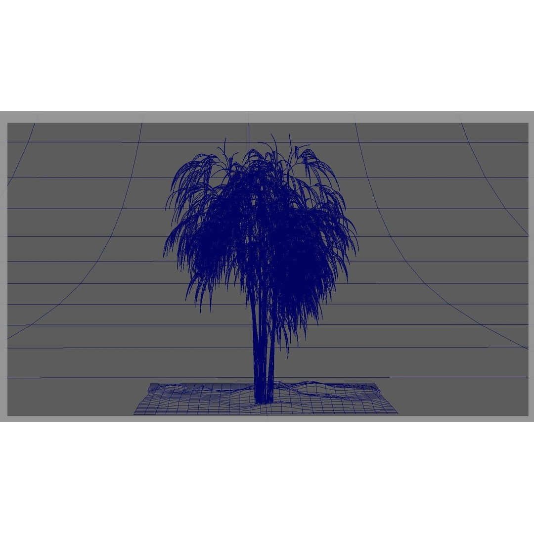 Bamboo 3D Model – Realistic Plant for Archviz and Games, FBX - View 14