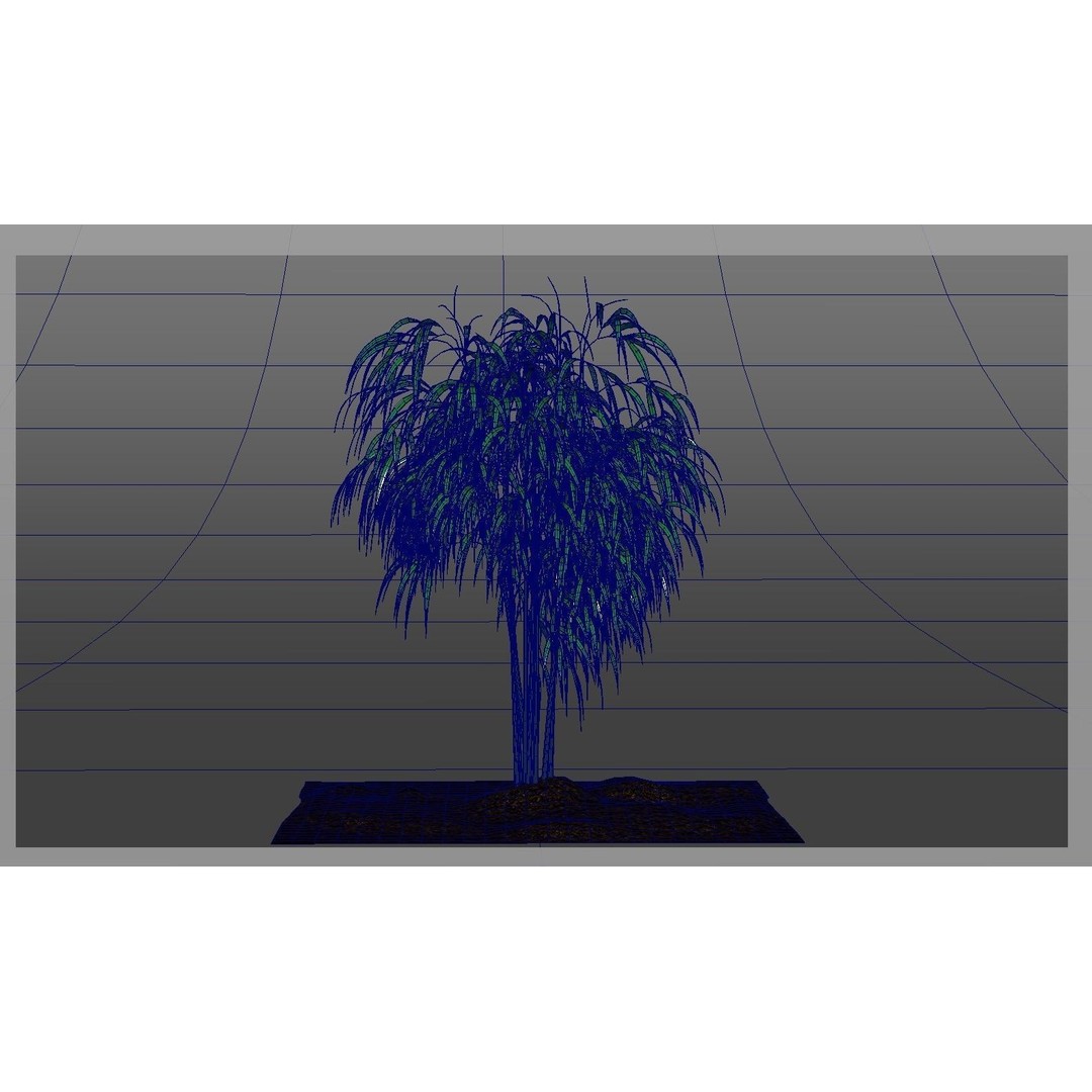 Bamboo 3D Model – Realistic Plant for Archviz and Games, FBX - View 15