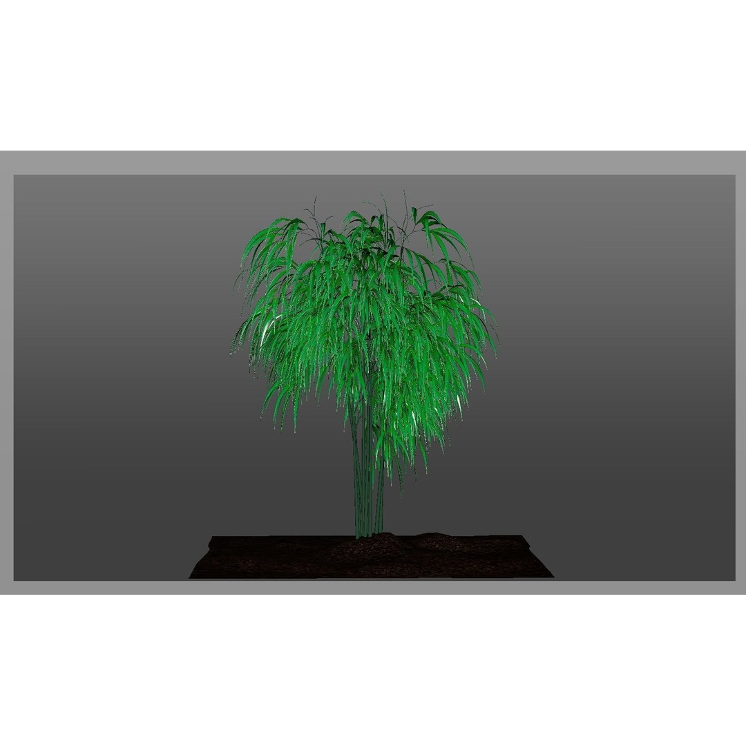 Bamboo 3D Model – Realistic Plant for Archviz and Games, FBX - View 16