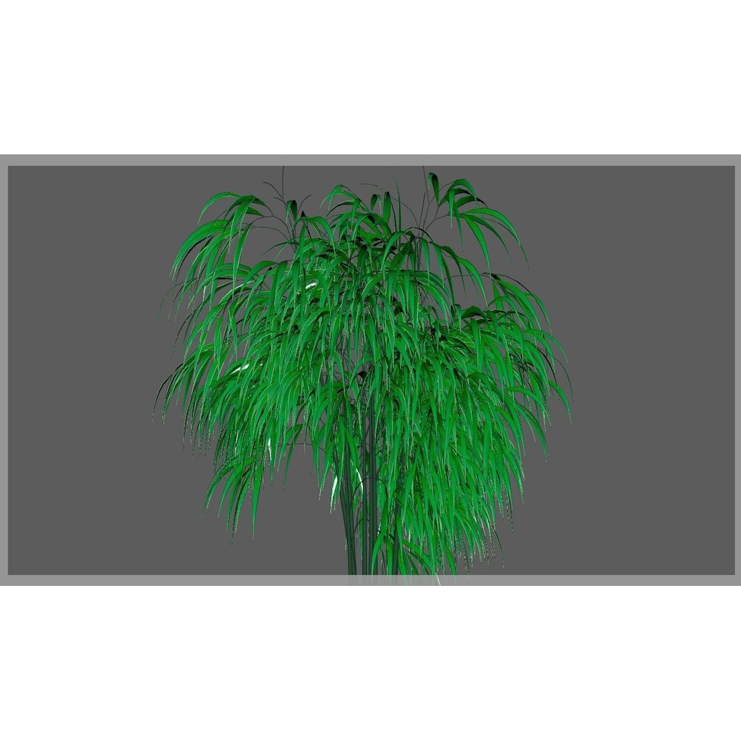 Bamboo 3D Model – Realistic Plant for Archviz and Games, FBX - View 17