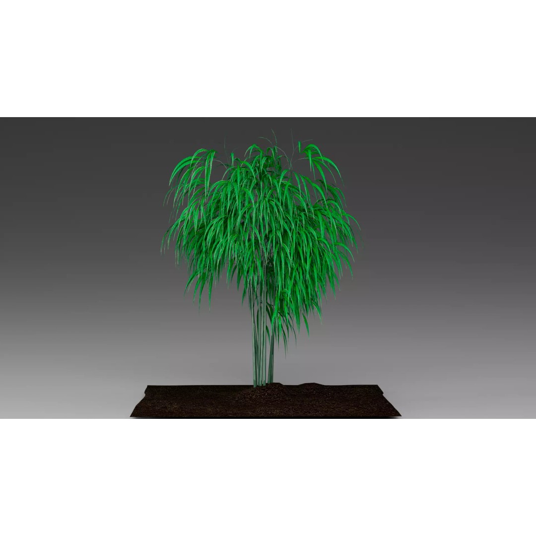 Bamboo 3D Model – Realistic Plant for Archviz and Games, FBX - View 2