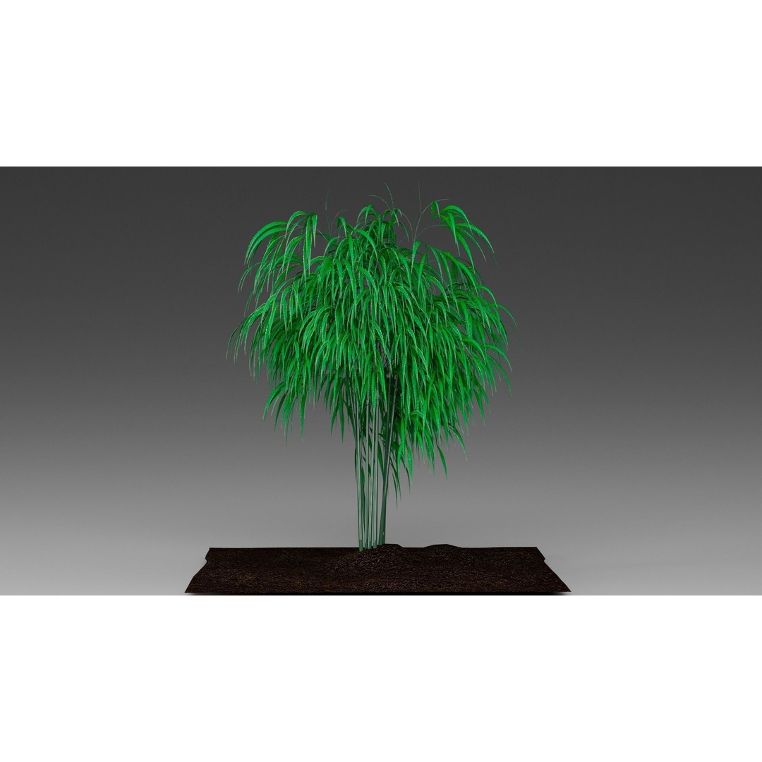 Bamboo 3D Model – Realistic Plant for Archviz and Games, FBX - View 3