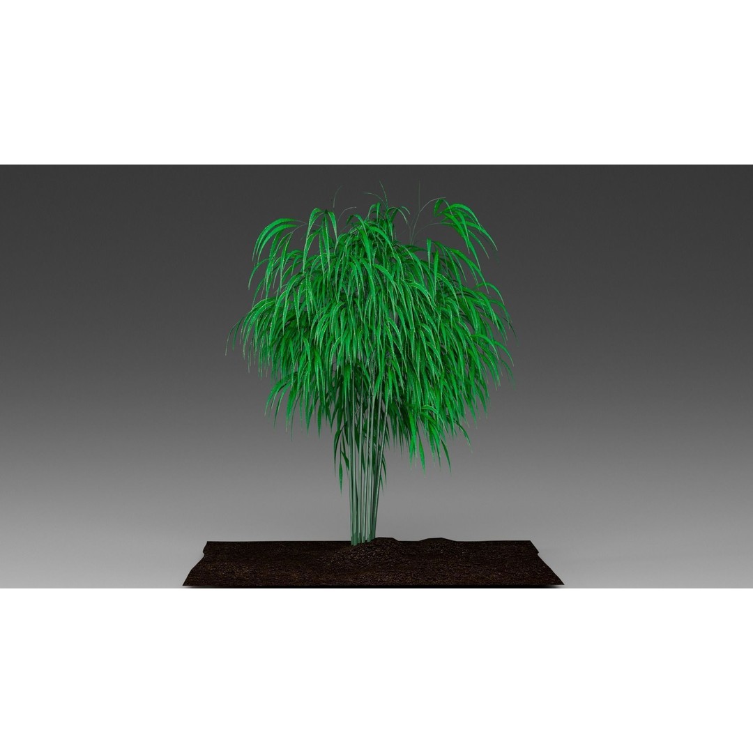 Bamboo 3D Model – Realistic Plant for Archviz and Games, FBX - View 4