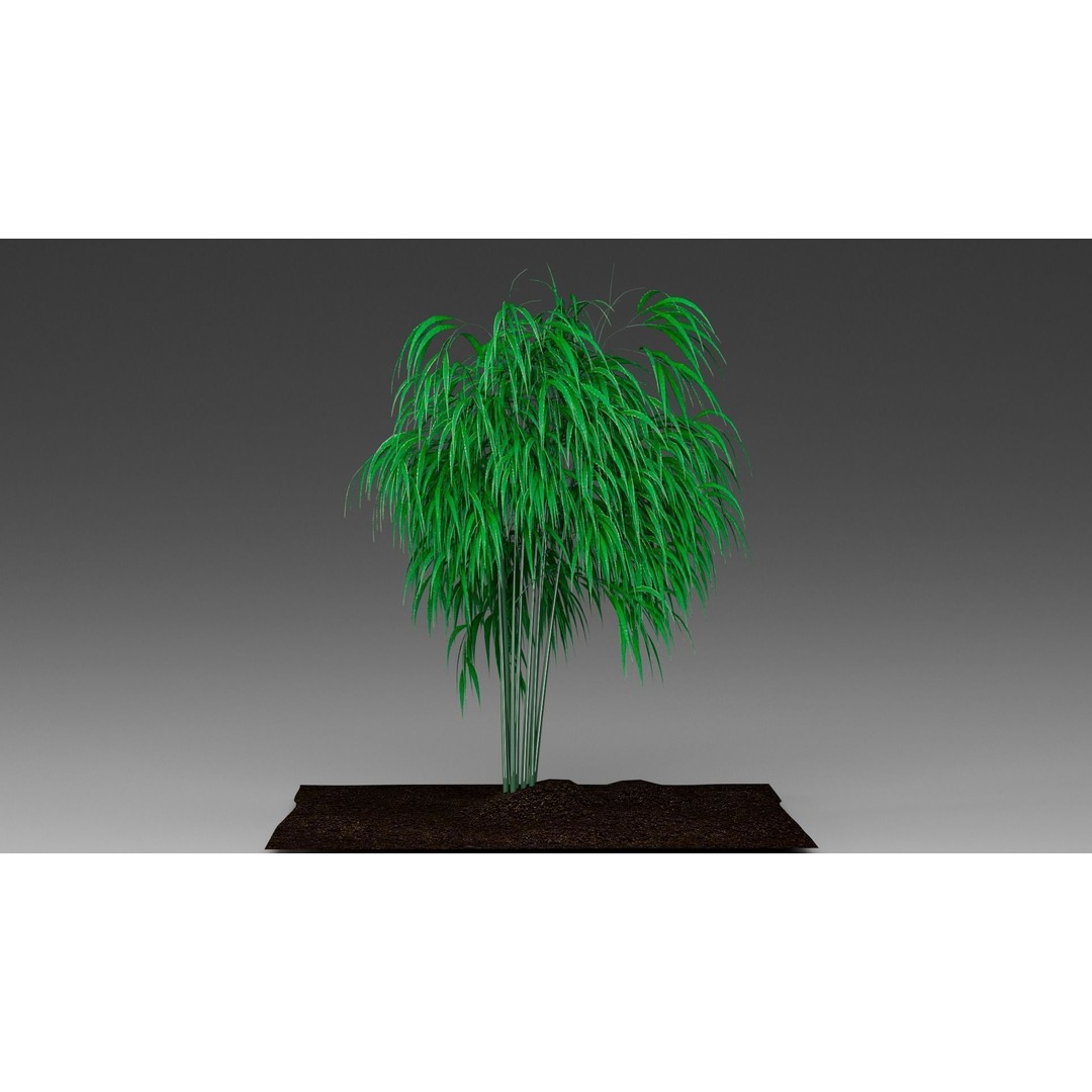 Bamboo 3D Model – Realistic Plant for Archviz and Games, FBX - View 5