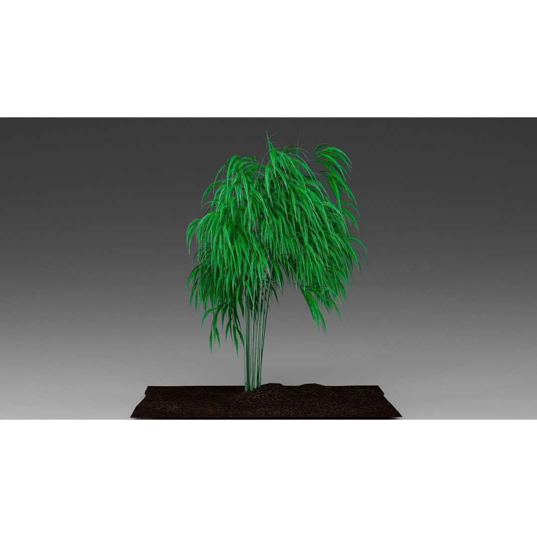 Bamboo 3D Model – Realistic Plant for Archviz and Games, FBX - View 6