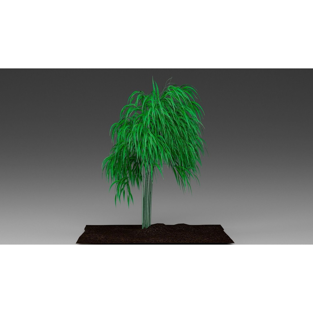 Bamboo 3D Model – Realistic Plant for Archviz and Games, FBX - View 7