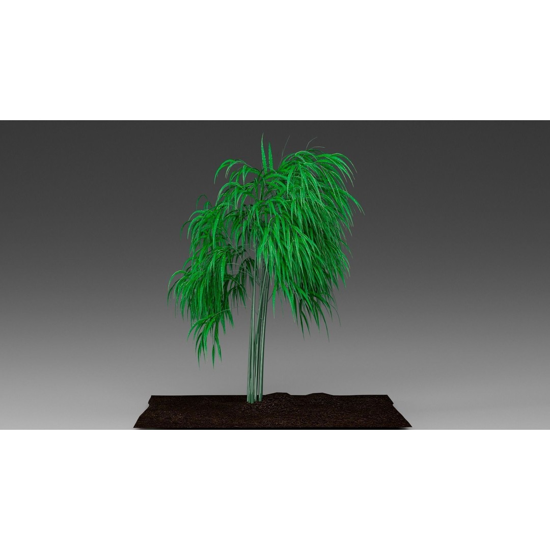Bamboo 3D Model – Realistic Plant for Archviz and Games, FBX - View 8