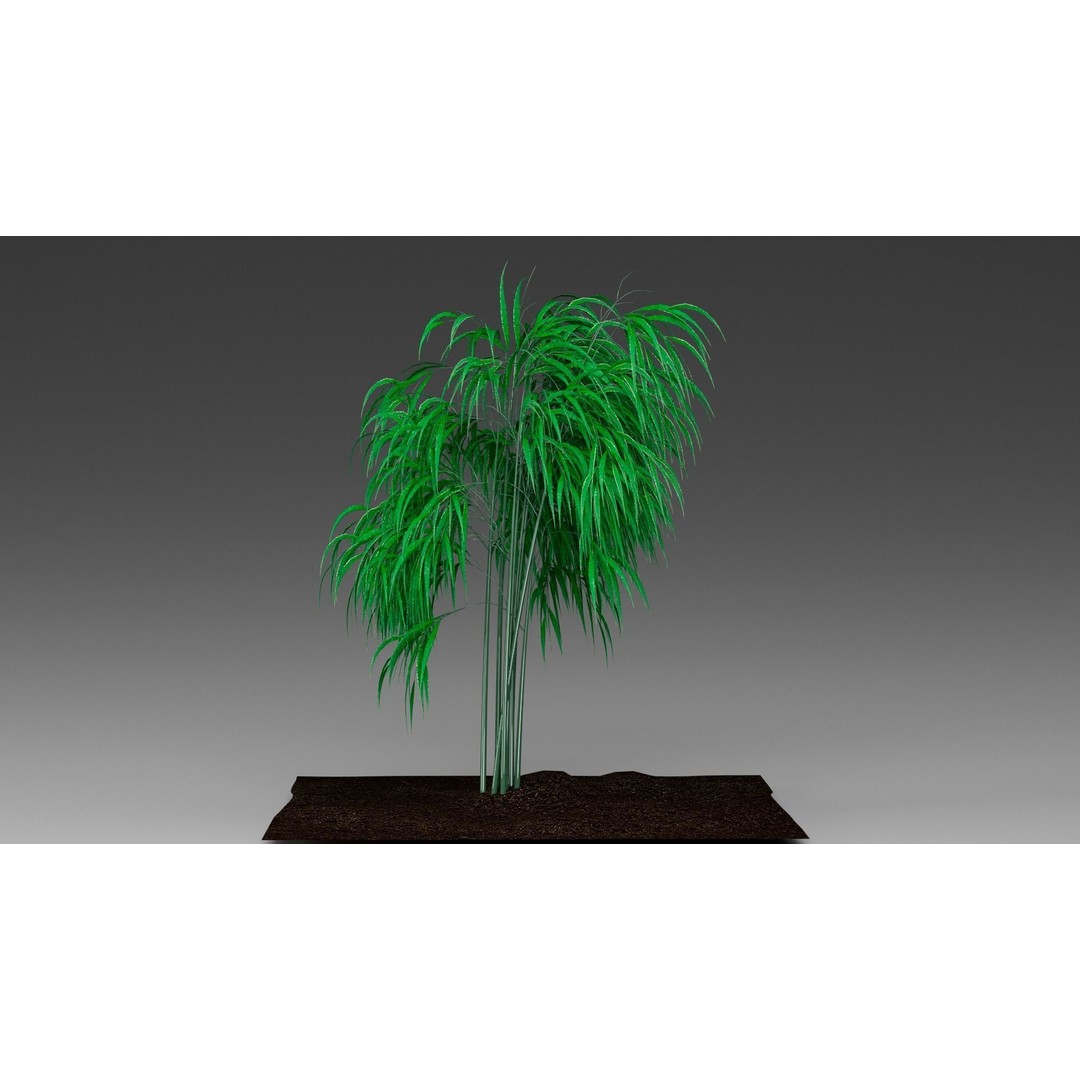 Bamboo 3D Model – Realistic Plant for Archviz and Games, FBX - View 9