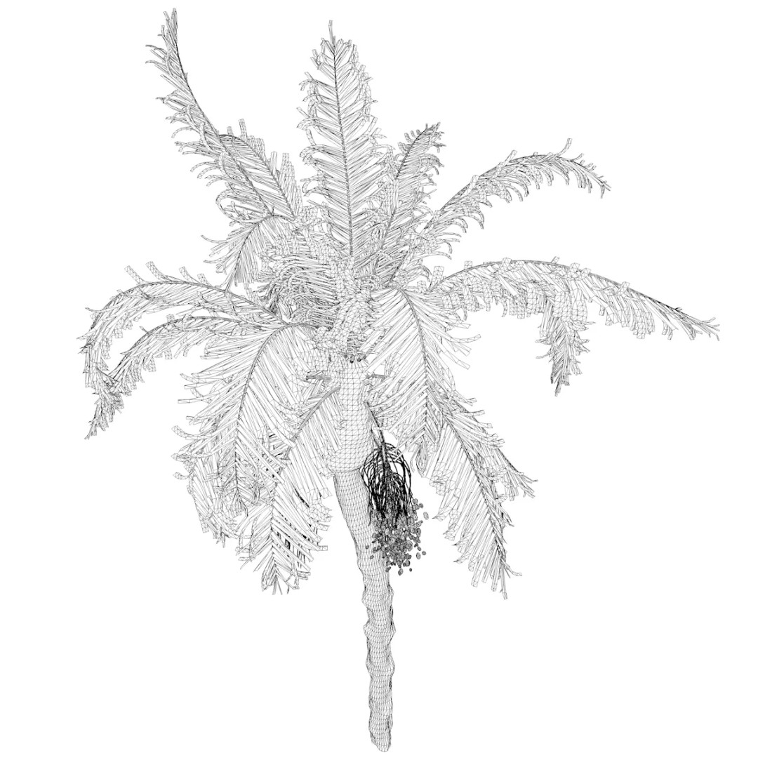Date Palm Tree 3D Model – Photorealistic Game Asset, FBX - View 3