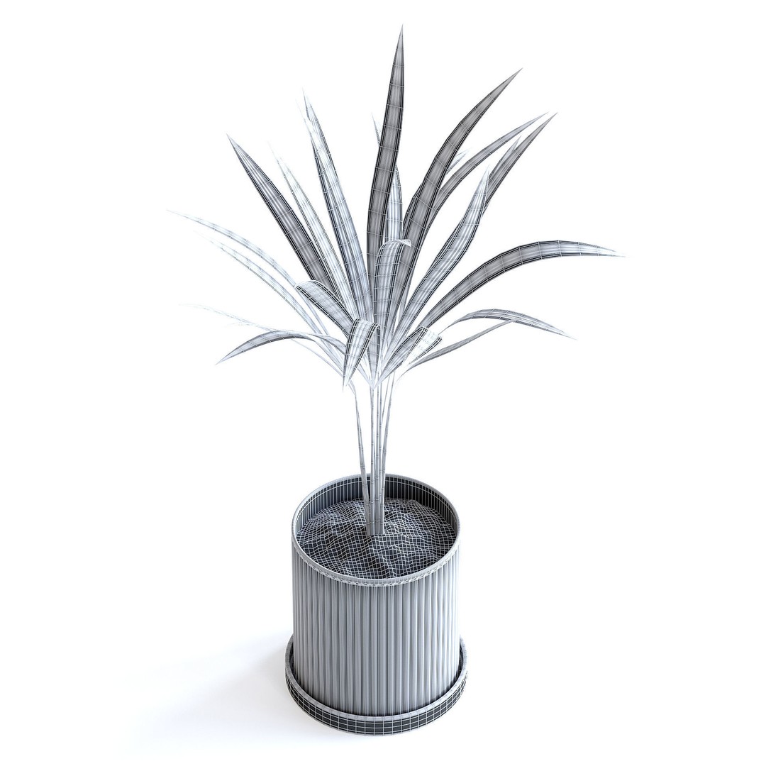 Areca Palm 3D Model – Realistic Potted Plant, FBX & Blender Formats - View 10