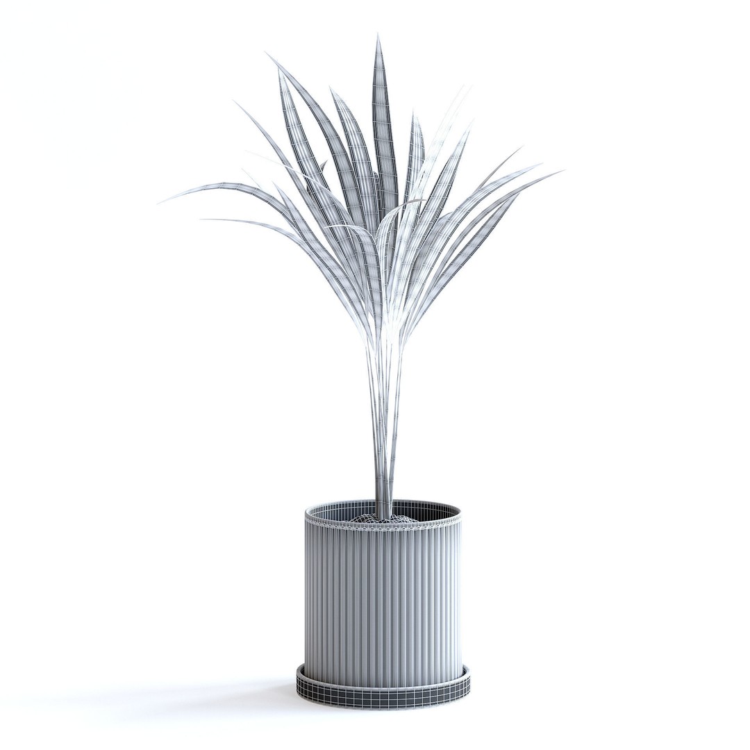 Areca Palm 3D Model – Realistic Potted Plant, FBX & Blender Formats - View 7