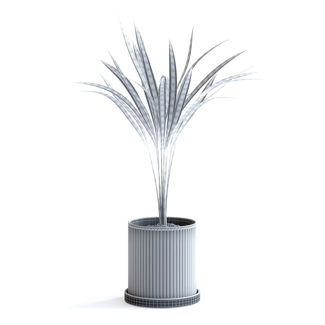 Areca Palm 3D Model – Realistic Potted Plant, FBX & Blender Formats - View 8