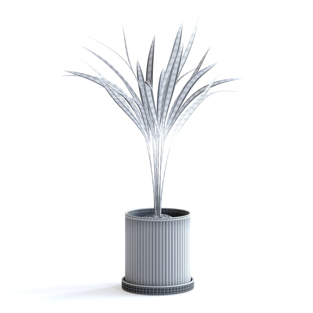 Areca Palm 3D Model – Realistic Potted Plant, FBX & Blender Formats - View 9