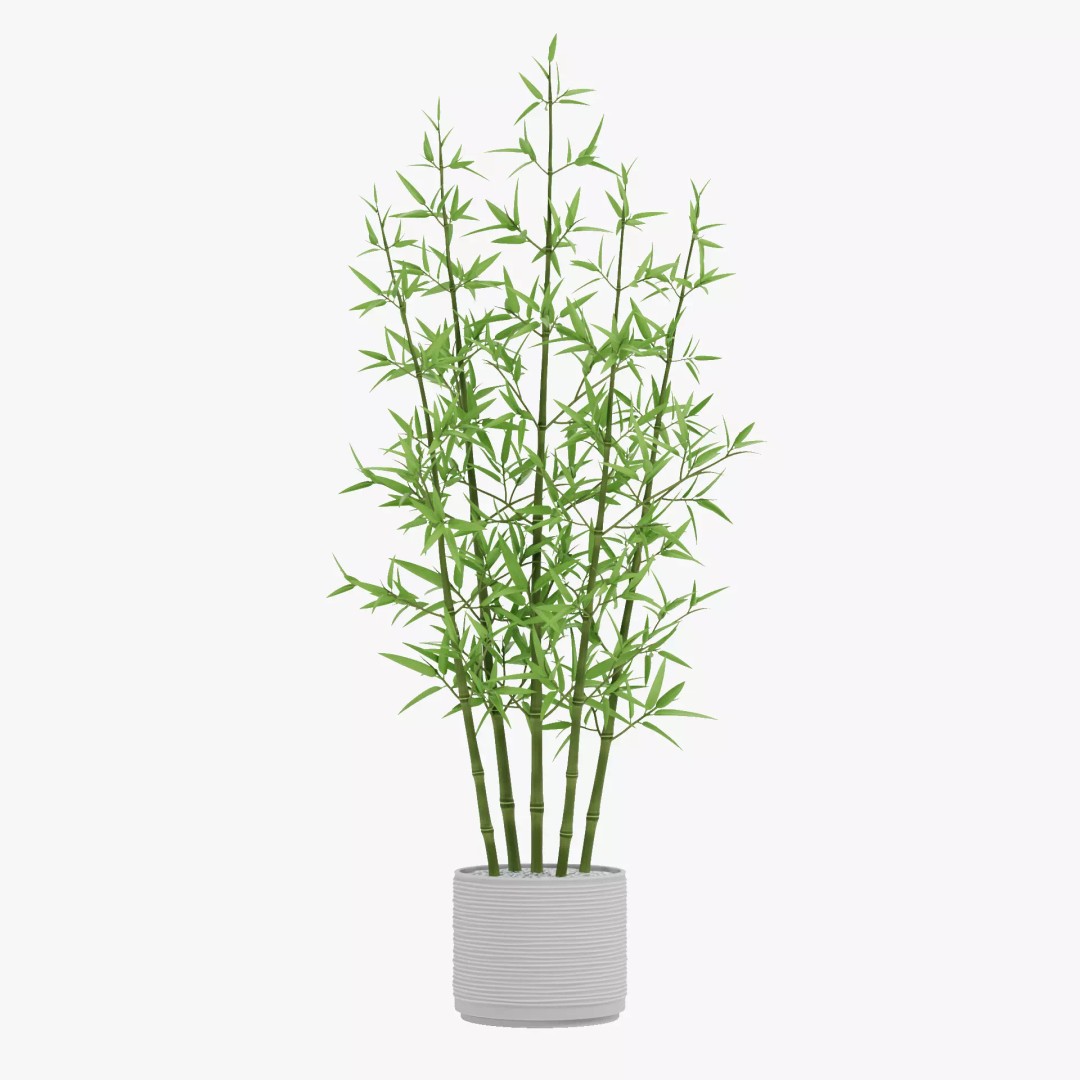 Bamboo Plant 3D Model – Low-Poly Potted Decoration, Blender