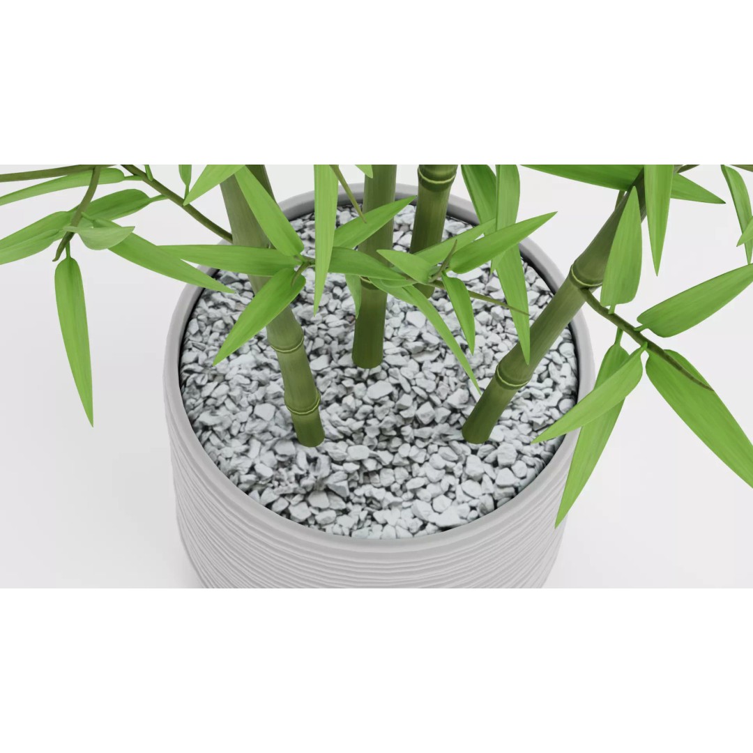 Bamboo Plant 3D Model – Low-Poly Potted Decoration, Blender - View 10