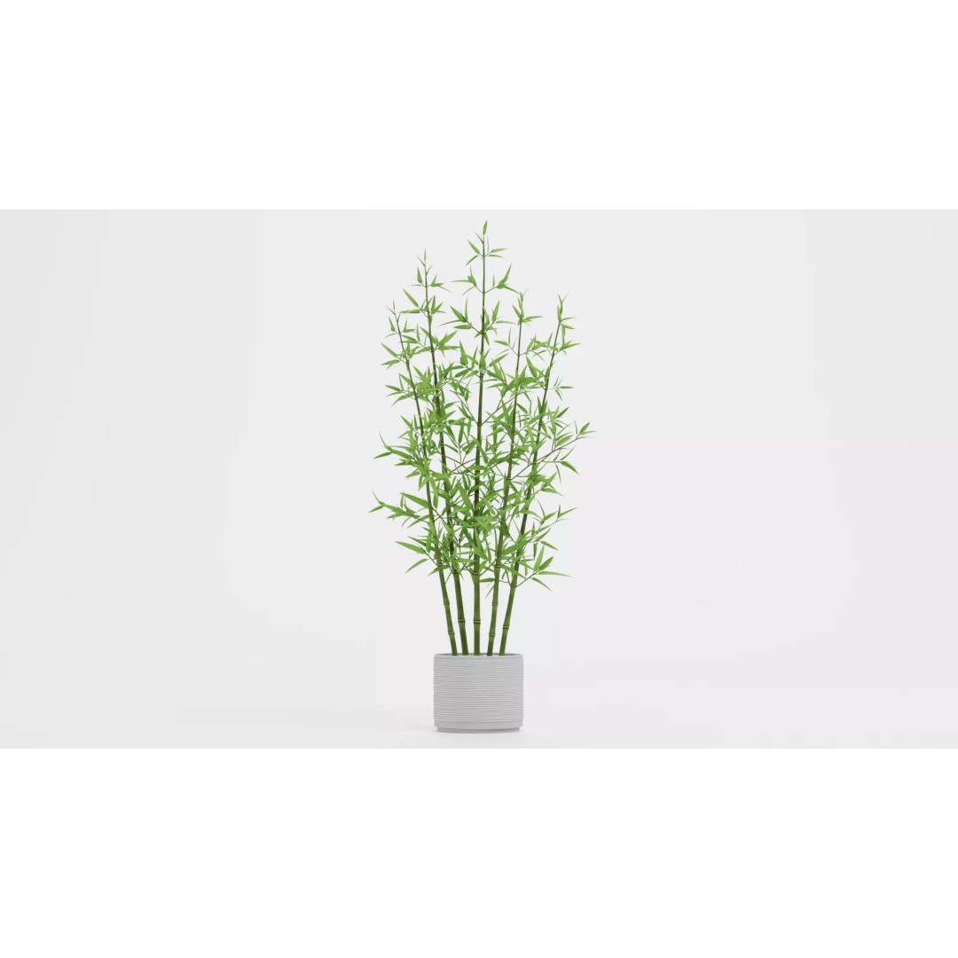 Bamboo Plant 3D Model – Low-Poly Potted Decoration, Blender - View 2