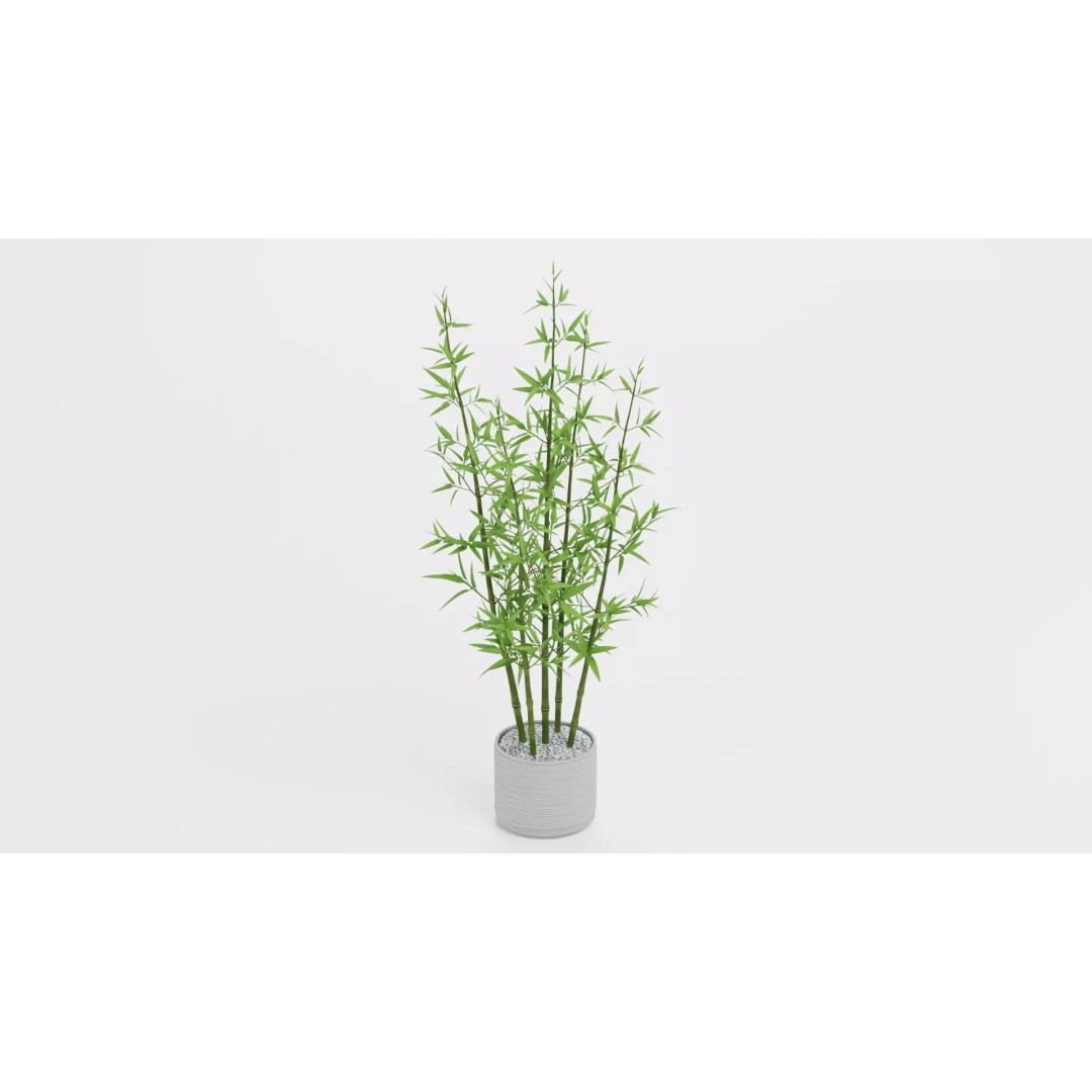 Bamboo Plant 3D Model – Low-Poly Potted Decoration, Blender - View 3