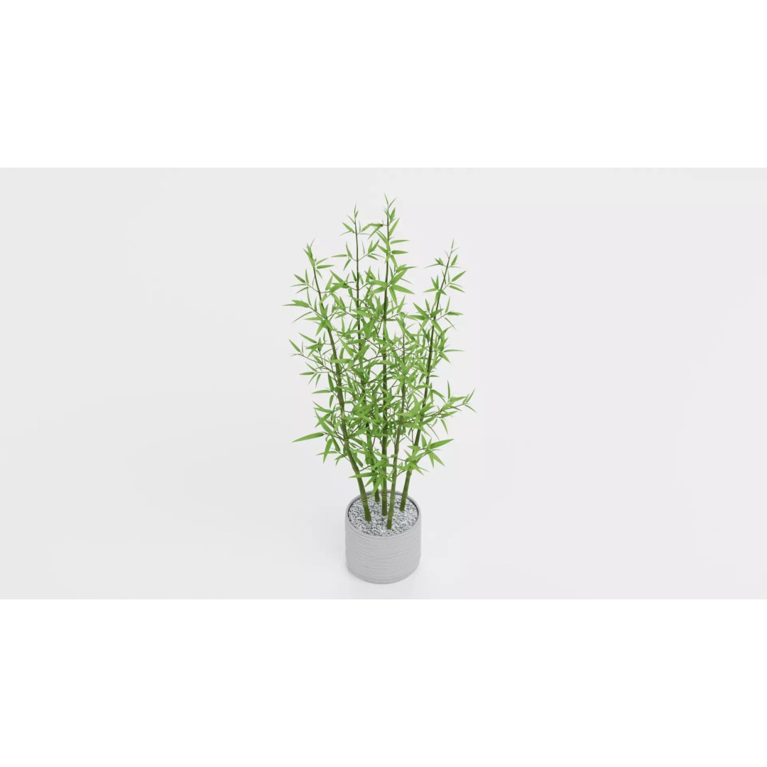 Bamboo Plant 3D Model – Low-Poly Potted Decoration, Blender - View 4