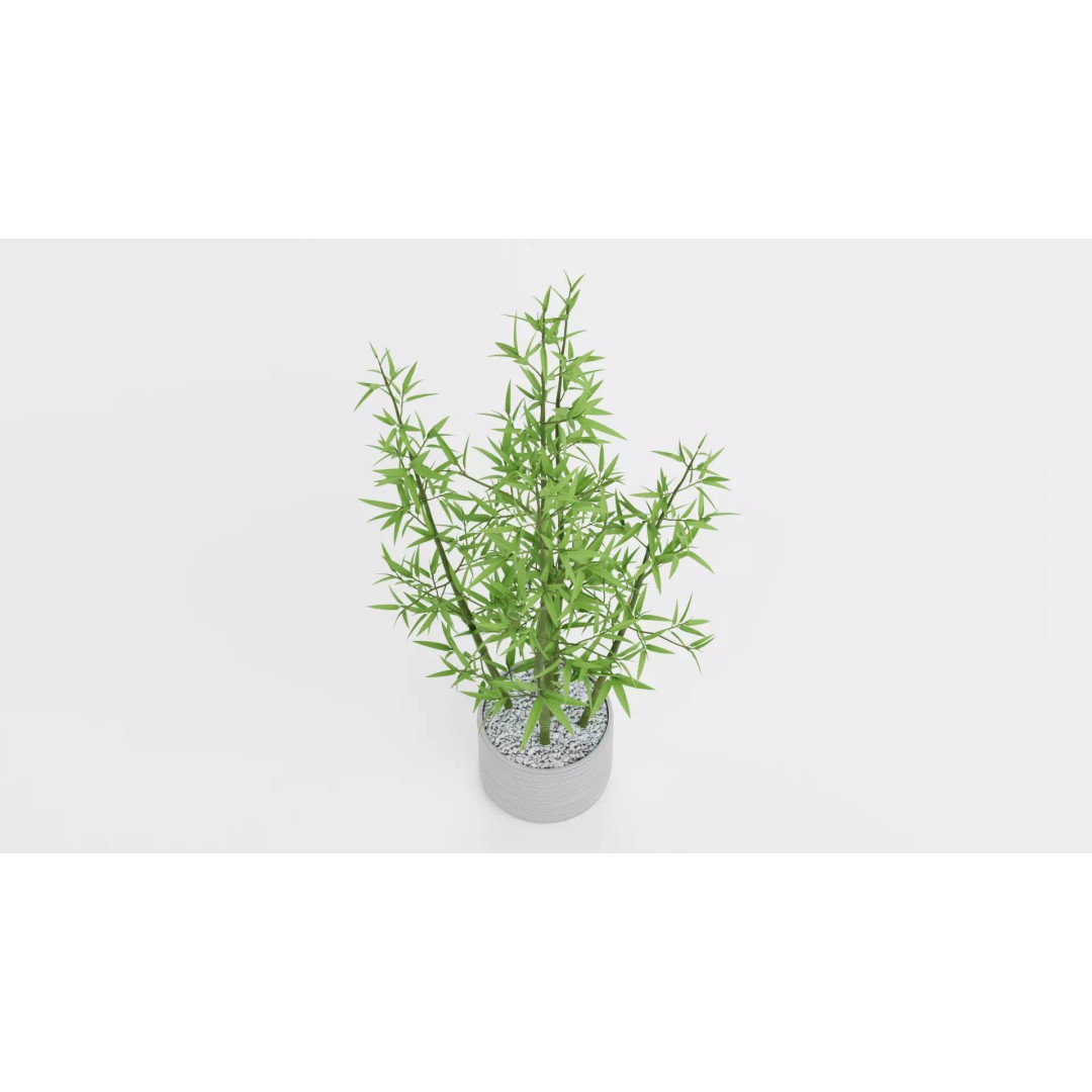 Bamboo Plant 3D Model – Low-Poly Potted Decoration, Blender - View 5