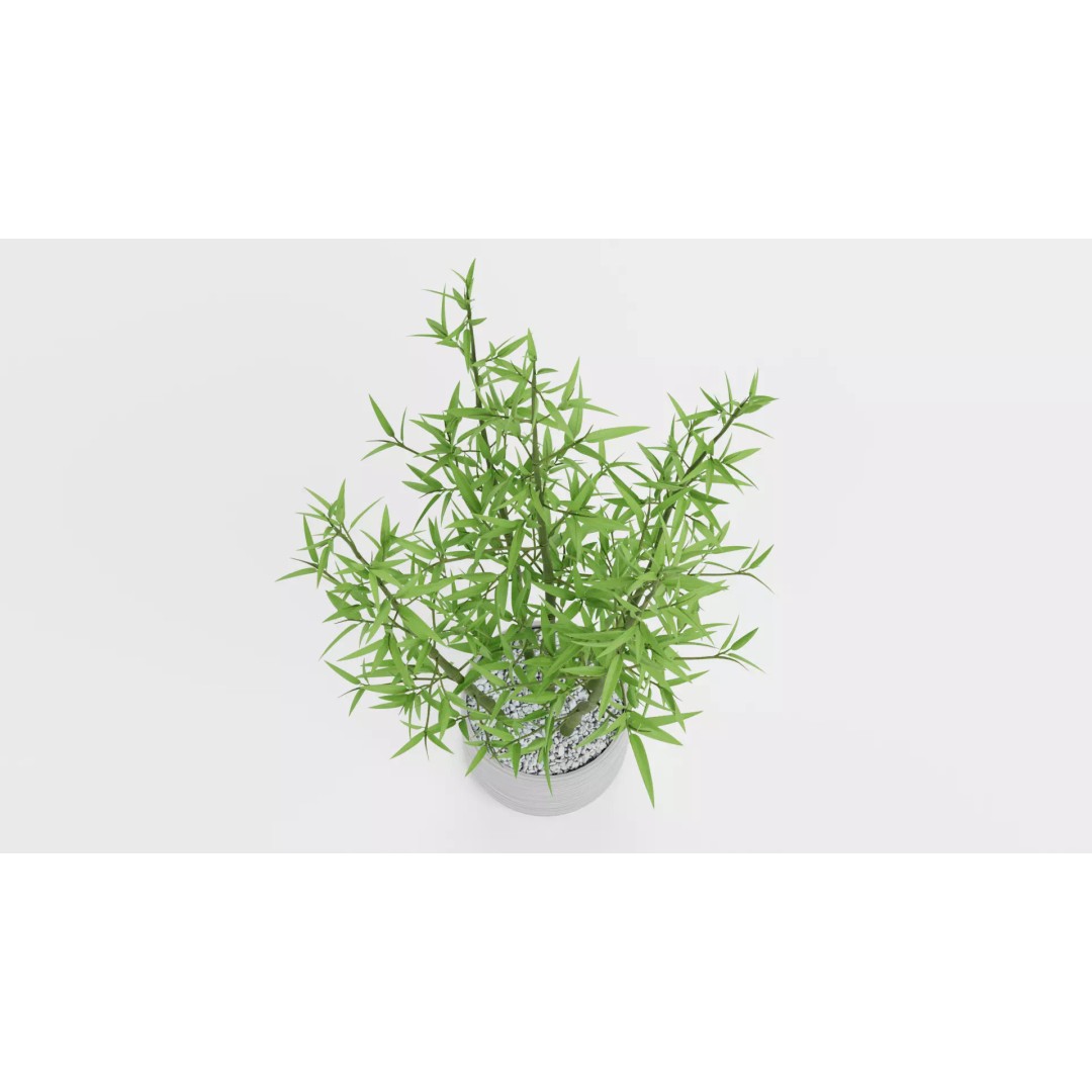 Bamboo Plant 3D Model – Low-Poly Potted Decoration, Blender - View 6