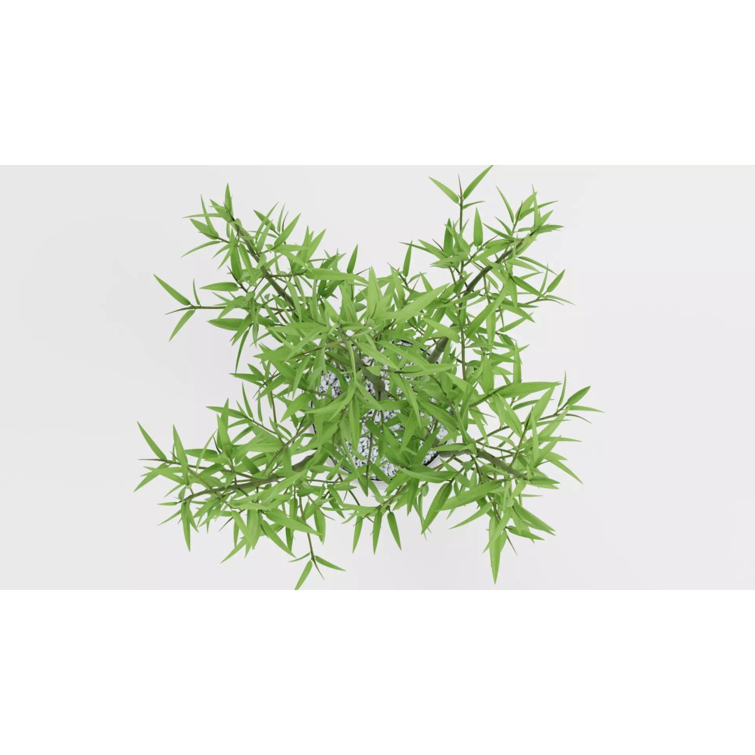 Bamboo Plant 3D Model – Low-Poly Potted Decoration, Blender - View 7