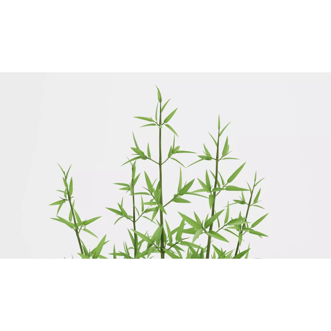 Bamboo Plant 3D Model – Low-Poly Potted Decoration, Blender - View 8