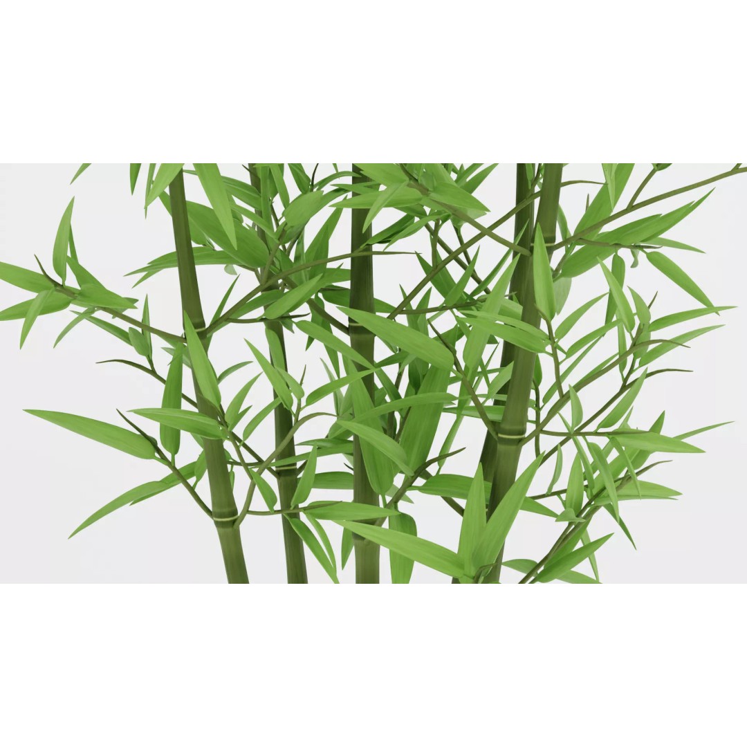 Bamboo Plant 3D Model – Low-Poly Potted Decoration, Blender - View 9