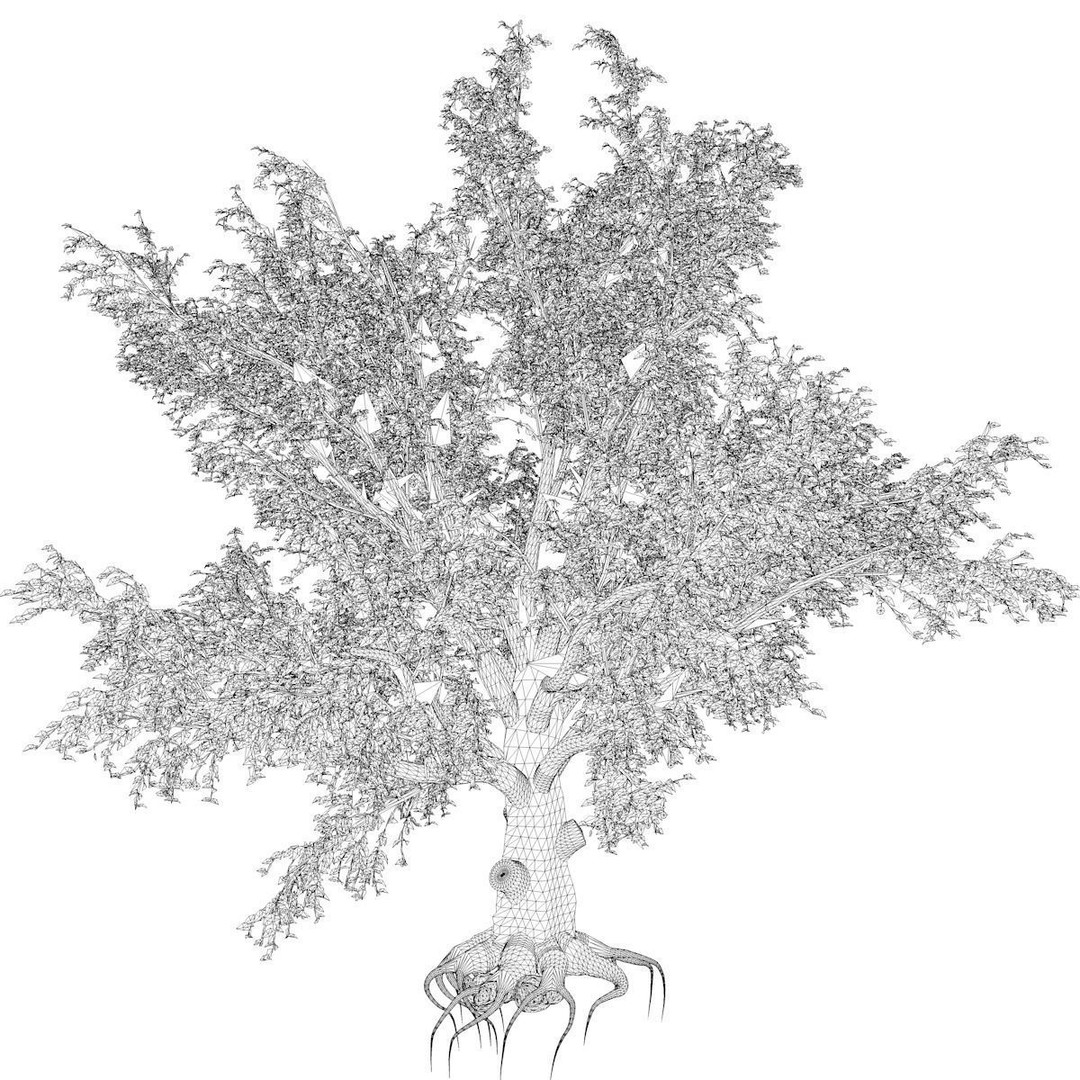 American Beech Tree 3D Model – Photorealistic Game Asset, FBX - View 3