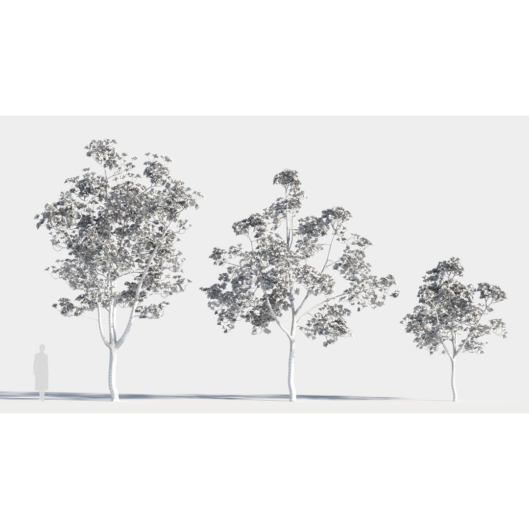 Yulania Denudata 3D Model – High Poly Plant Asset, FBX, OBJ