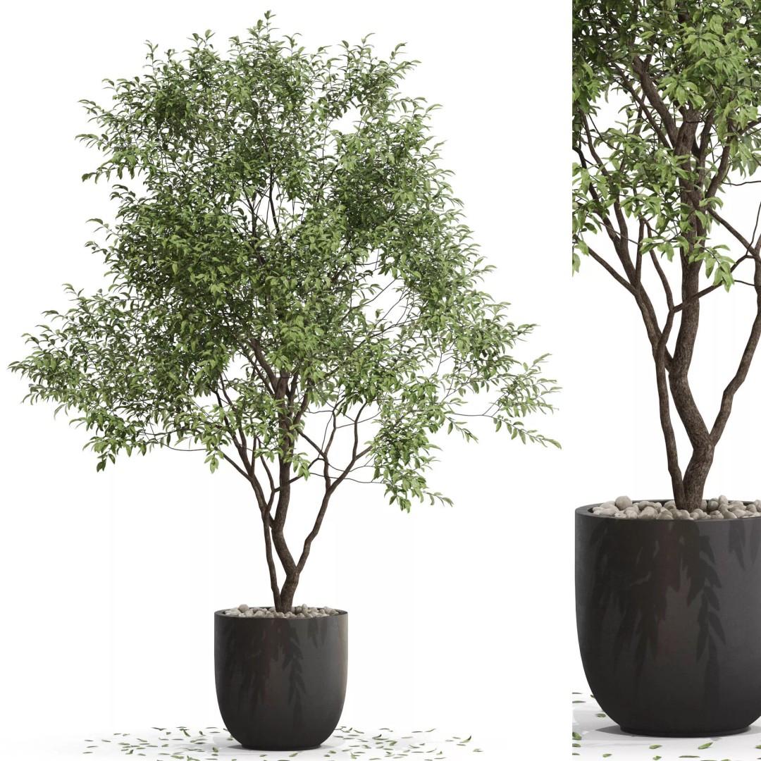 Plants Collection 659 3D Model – High Quality PBR Assets for Interiors & Exteriors - View 2
