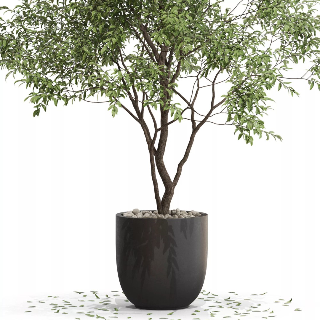 Plants Collection 659 3D Model – High Quality PBR Assets for Interiors & Exteriors - View 3