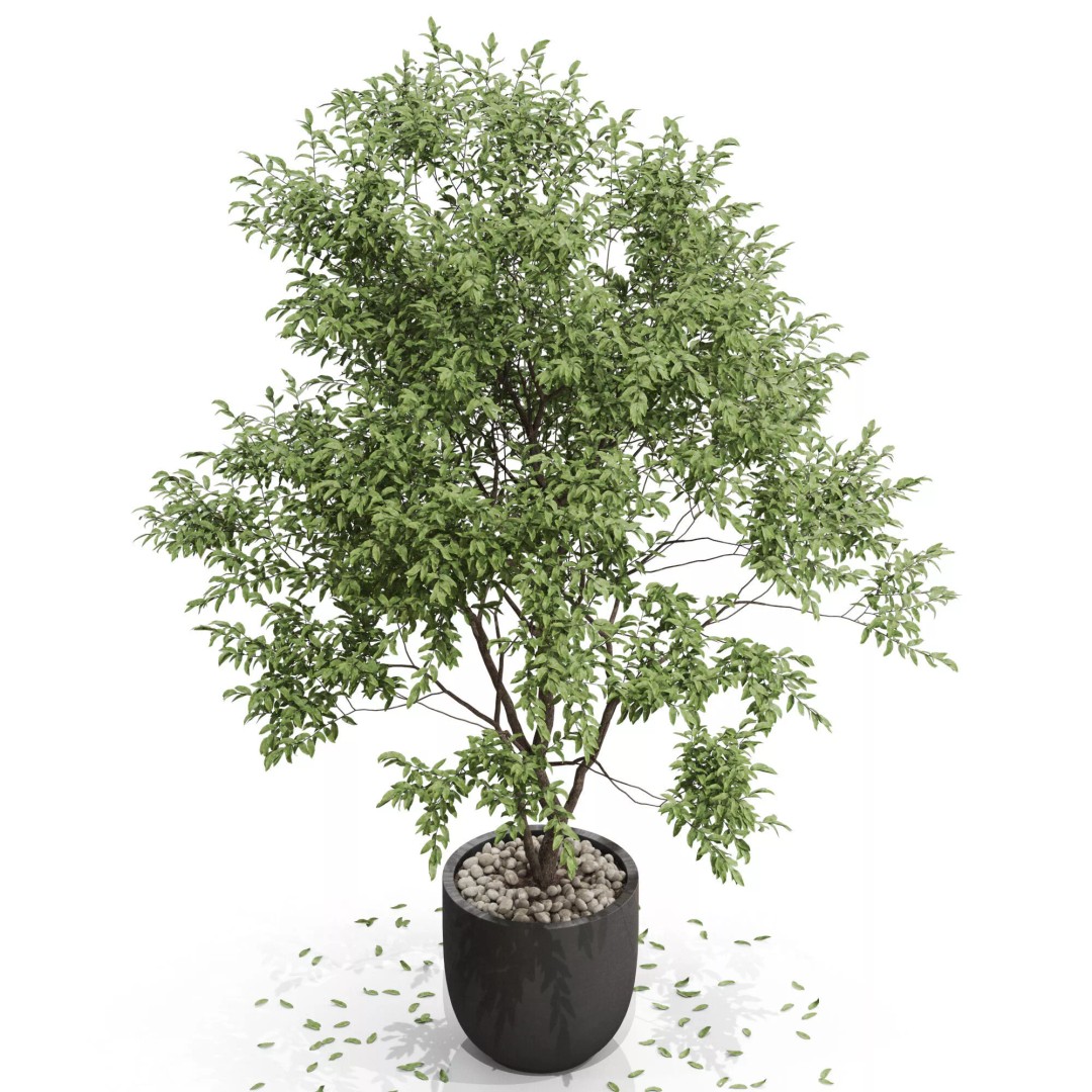 Plants Collection 659 3D Model – High Quality PBR Assets for Interiors & Exteriors - View 4