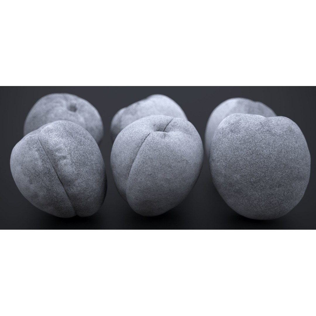 Japanese Kaki Peach 3D Model – High Poly PBR Asset, FBX & OBJ Formats