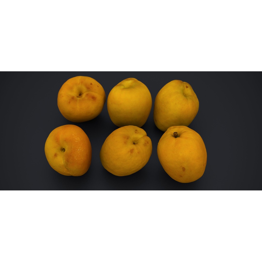 Japanese Kaki Peach 3D Model – High Poly PBR Asset, FBX & OBJ Formats - View 11
