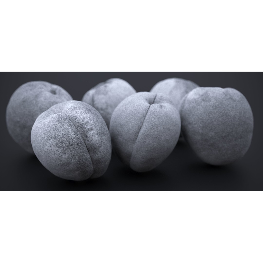 Japanese Kaki Peach 3D Model – High Poly PBR Asset, FBX & OBJ Formats - View 13