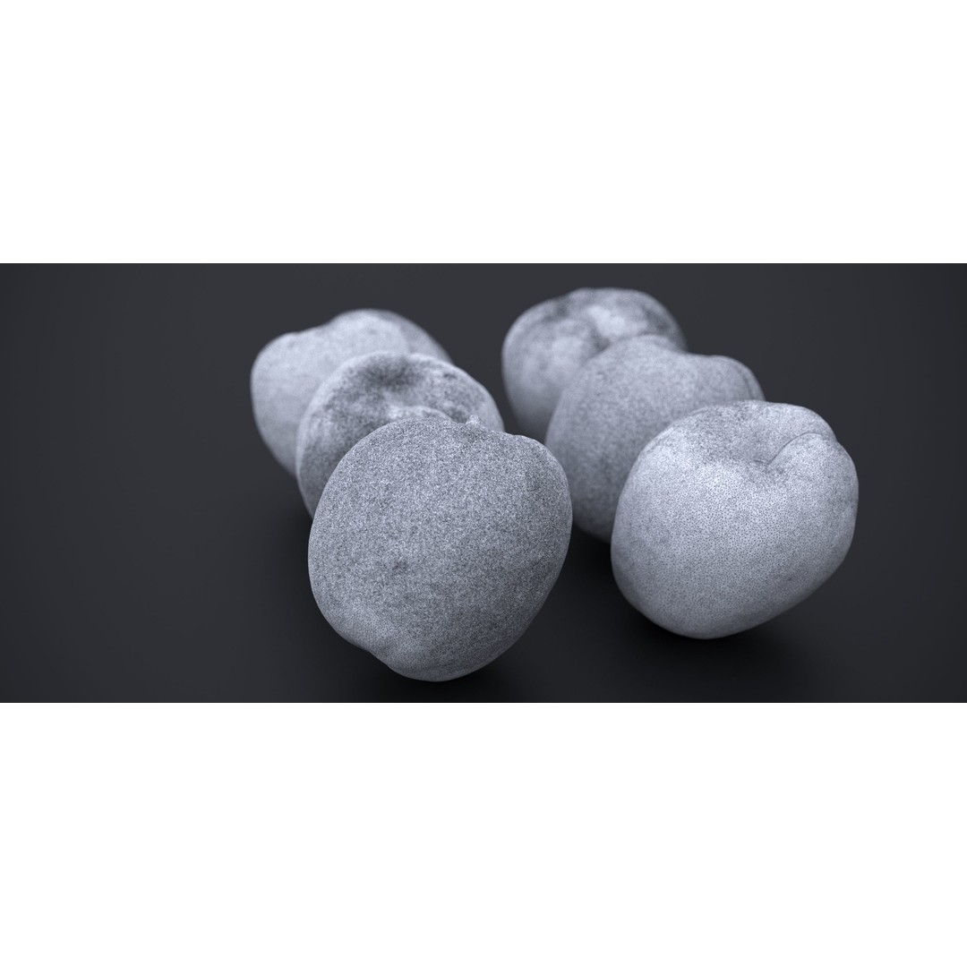 Japanese Kaki Peach 3D Model – High Poly PBR Asset, FBX & OBJ Formats - View 14