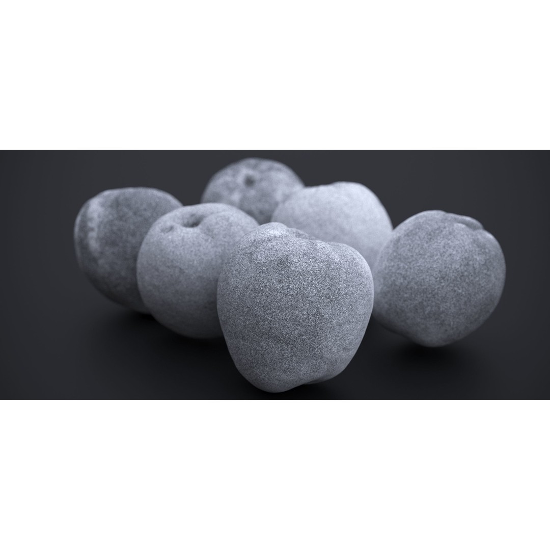 Japanese Kaki Peach 3D Model – High Poly PBR Asset, FBX & OBJ Formats - View 18