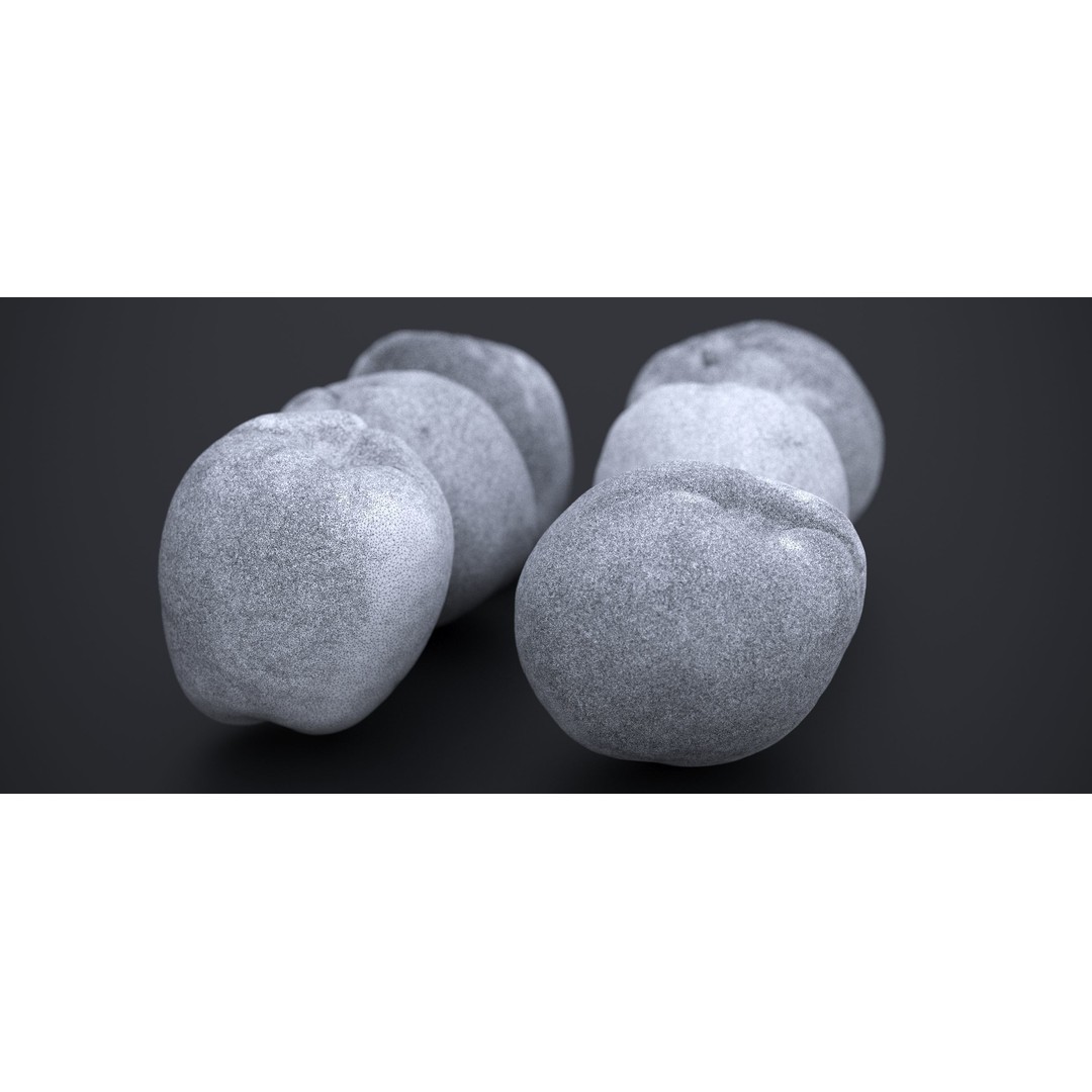 Japanese Kaki Peach 3D Model – High Poly PBR Asset, FBX & OBJ Formats - View 19