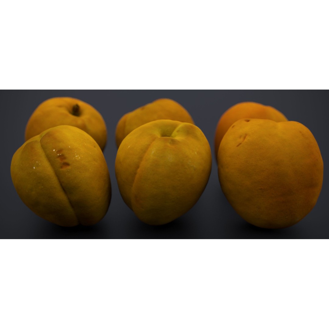 Japanese Kaki Peach 3D Model – High Poly PBR Asset, FBX & OBJ Formats - View 4