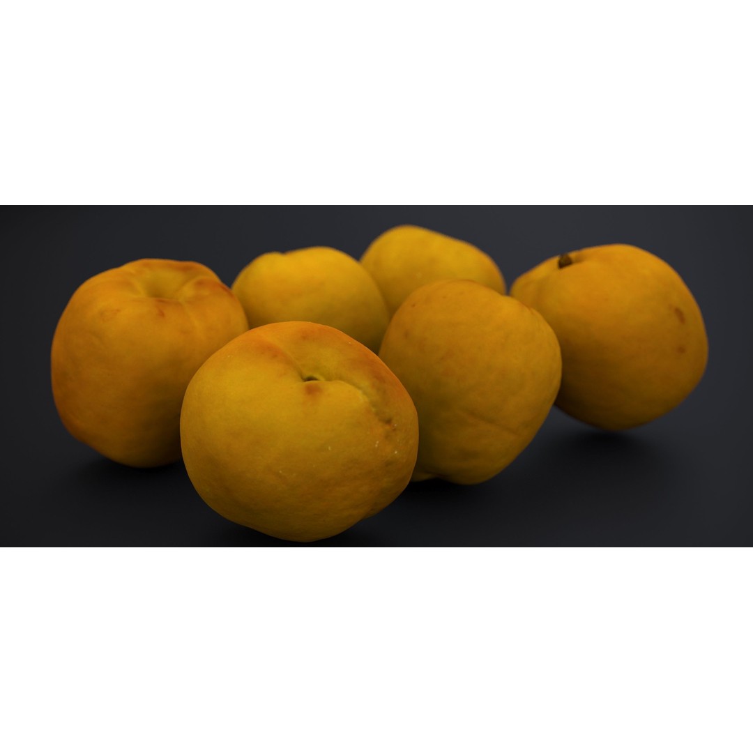 Japanese Kaki Peach 3D Model – High Poly PBR Asset, FBX & OBJ Formats - View 8