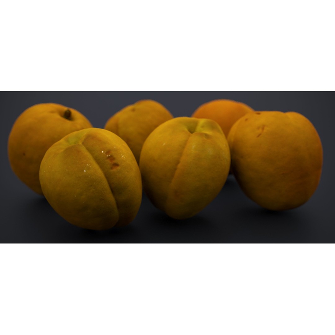 Japanese Kaki Peach 3D Model – High Poly PBR Asset, FBX & OBJ Formats - View 9